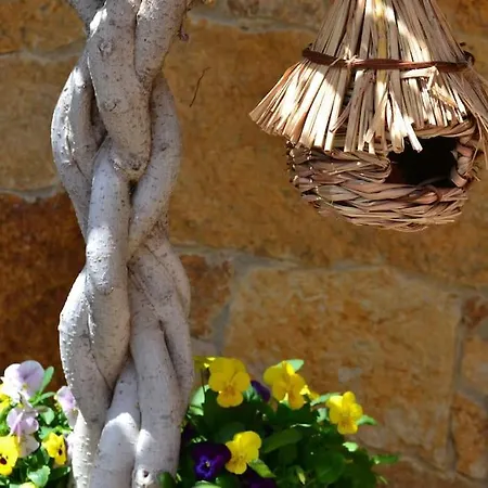 Casa Mannheim Dom wakacyjny *