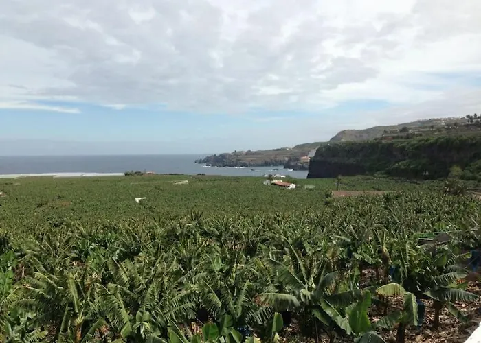 Casa Mannheim Ferienhaus *